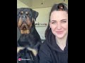 This woman shows what life is like with three massive Rottweilers... 😂😍 #rottweiler