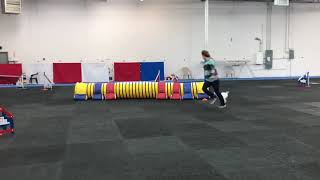 Lori Michaels seminar 12/31/2019