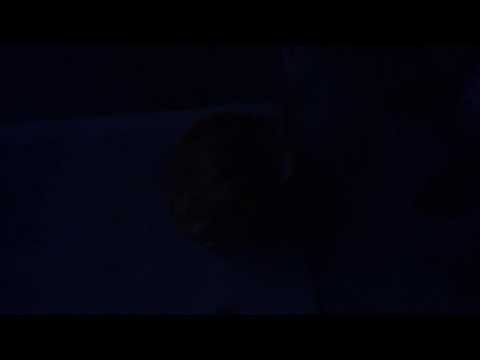 Lighting my pumpkin on fire with a homemade flamethrower
