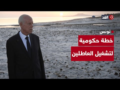 استراتيجية حكومية جديدة في تونس لتشغيل خريجي الجامعات