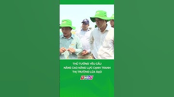 Thủ tướng yêu cầu nâng cao năng lực cạnh tranh thị trường lúa gạo #nongnghiepmientay