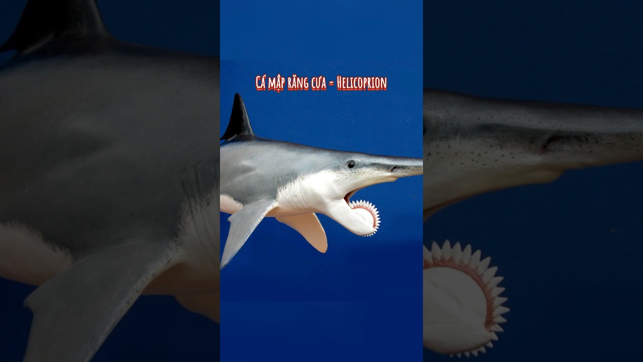 Bạn nên vui mừng vì loài cá này đã tuyệt chủng 😨 #Dukie #matnahuyenbi #Chuyenma #kinhdi #shorts