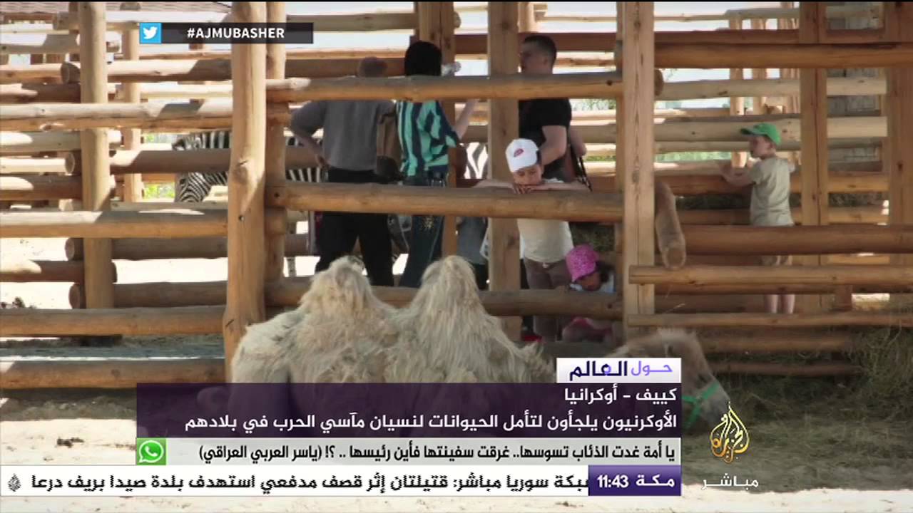 فيلم رسوم متحركة حول إدمان الإنترنت على الهاتف المحمول  ضمن فقرة حول العالم