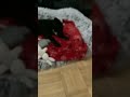 Nap time
