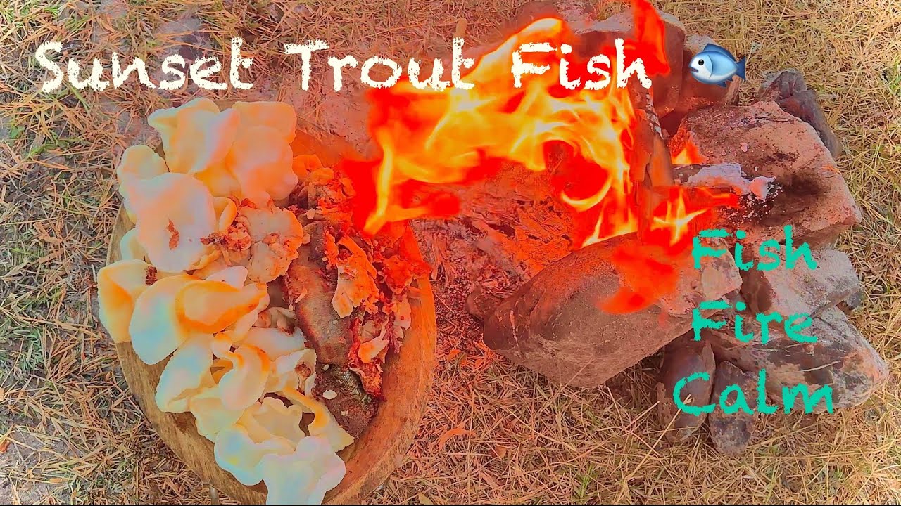 Sunset Trout | Fish & Crackers | Ancient stone Bushfire in wild Nature |