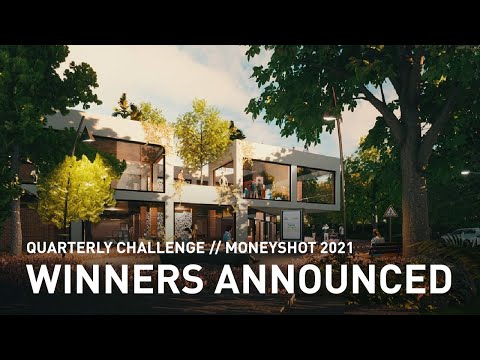 Winners Announced 🏆 Money Shot 2021 Quarterly Challenge + commentary