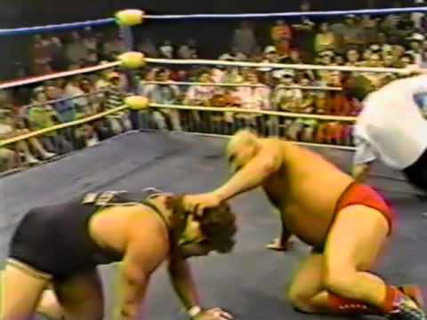 The Iron Sheik vs Rick Steiner professional liability insurance