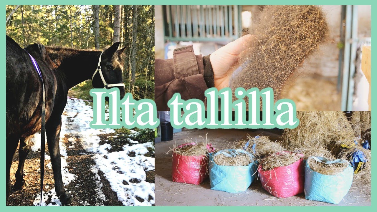 Keväinen iltatalli | TALLIVIDEO