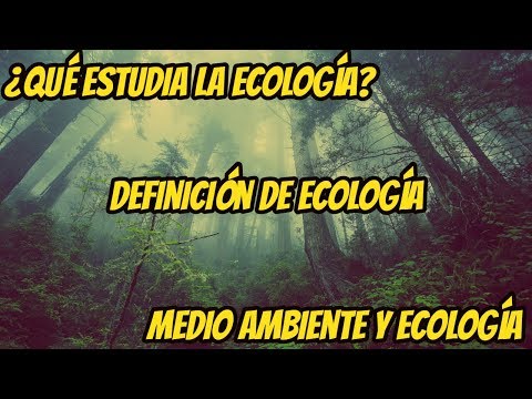 Video: Qué Estudios De Ecología