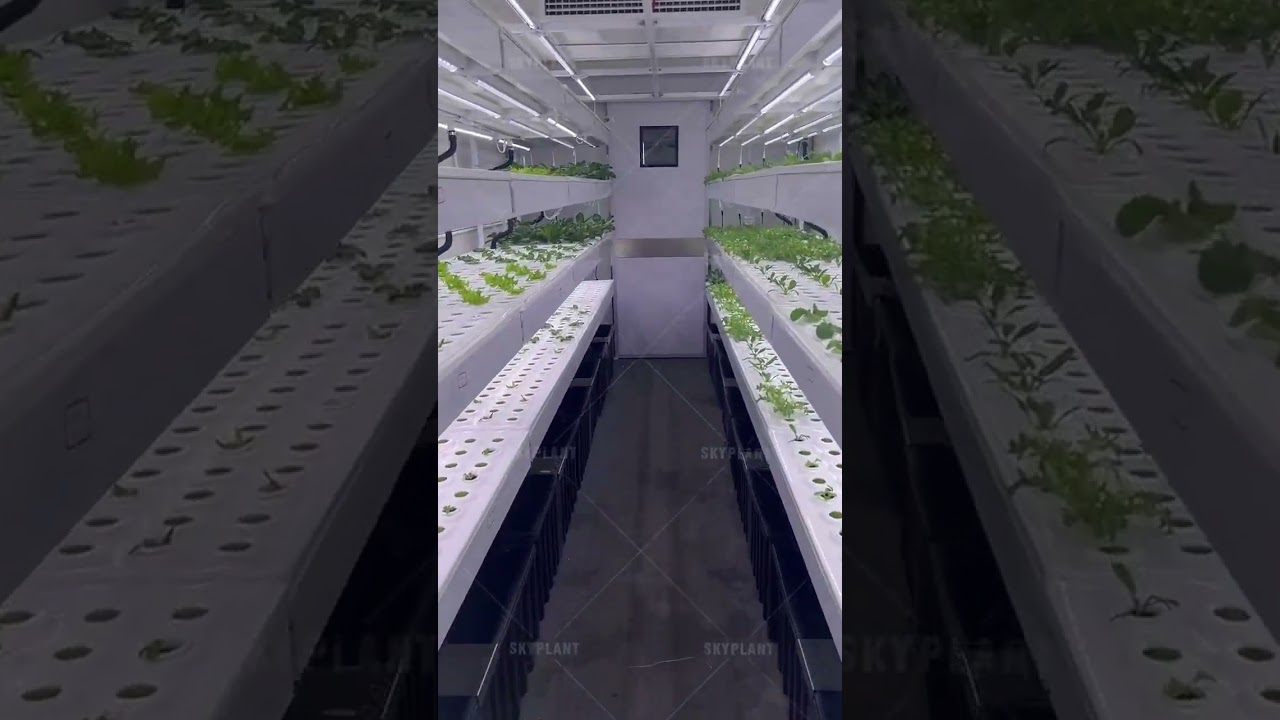 🌱 Revolutionary 40-foot container farm!