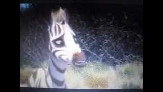 Khumbaladdin Sneak Peek For King Ralphie