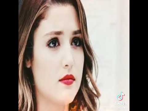 مقاطع أغاني مصطفى كامل عمرو دياب مجد القاسم