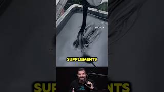 Andrew Huberman on Shilajit Benefits #shilajit #andrewhuberman #supplements #shilajitbenefits