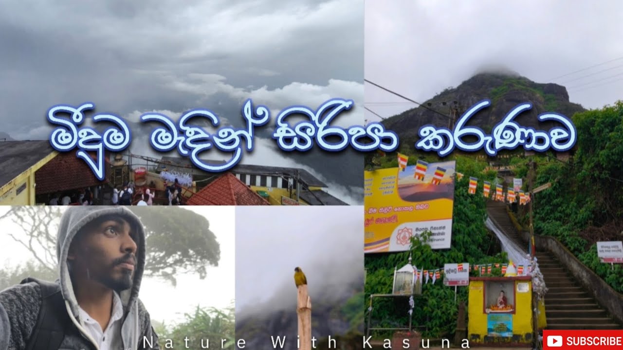 මීදුම මැදින් සිරිපා කරුණාව | Sri Pada (Adam's Peak) Vlog 2026 👣⛰️