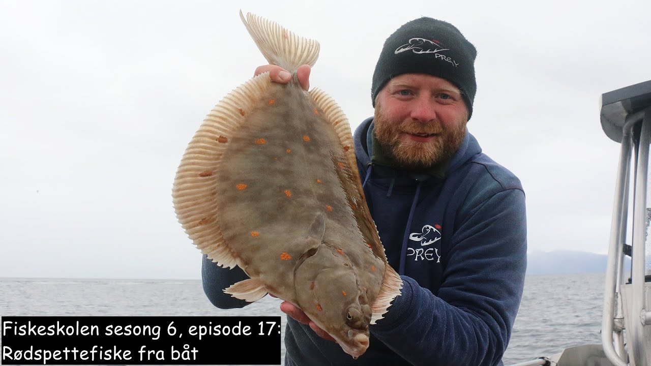 Fiskeskolen sesong 6, episode 17: Rødspettefiske fra båt - YouTube