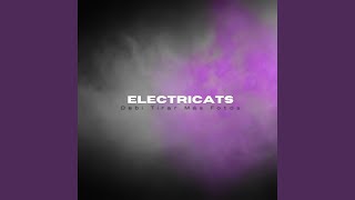 DtMF - Electricats