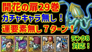 【ドラクエタクト】開花の扉29巻 ガチャキャラ無し！運要素無し7ターン攻略！ランク8対応！特技習得不要！立ち回り解説