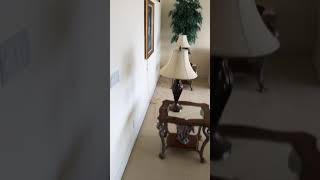 IMG 9098