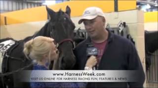 Funny Cute Friendly Horse Crashes TV Interview