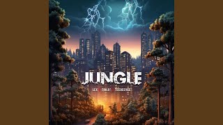 Jungle (feat. TeeDeeVee & Lex)