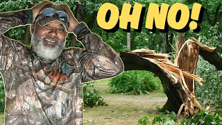 Everything Happens For A Reason! My Backyard Update