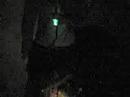 Generator startup TFS (2004)