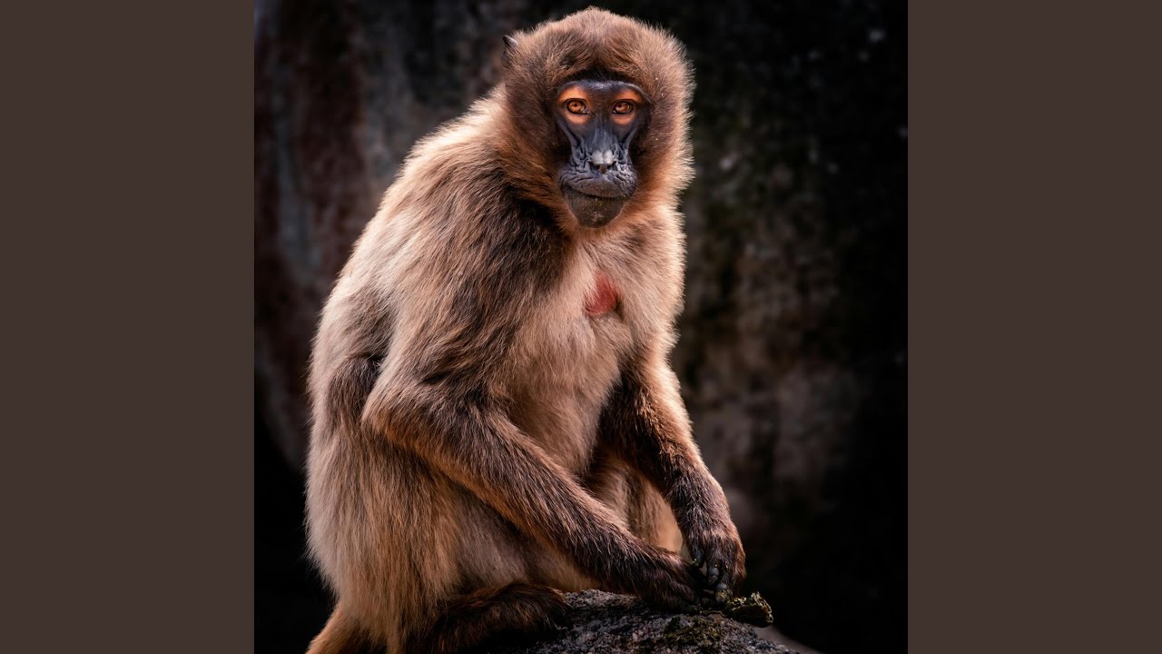 Marcus Has Pants Full of Poop