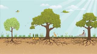 Permaculture Showreel By F.learning Studio