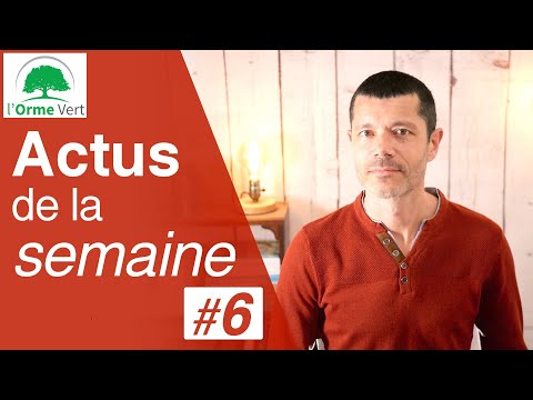 ACTUS #6 du 09-05-2023 - Vidéo de Cynthia, Détox, Libido et Santé
