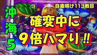 PA大海物語４スペシャルアグネス99ver.  P沖海５ミドル　 自粛明け113戦目(2022年2月22日）
