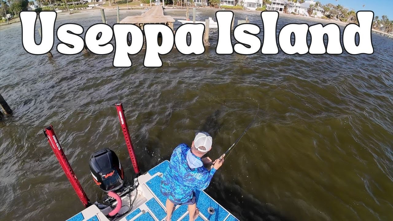 Mud Crabs | Useppa Docks | Bokeelia Flats