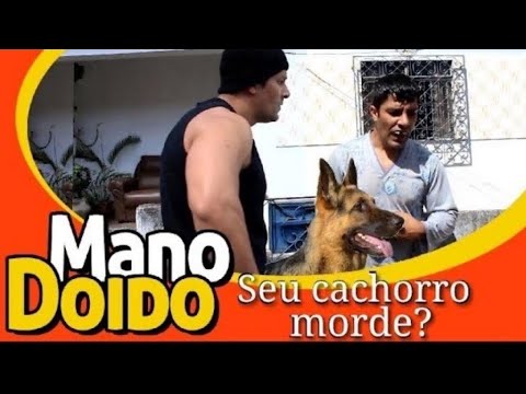 Meu cachorro é mansinho 