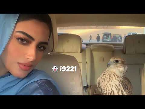 سلامتك راشد الماجد بطيء