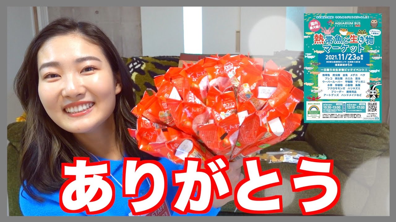 イベント初出店と出店裏側を大公開 アクアリウムバス21 Youtube