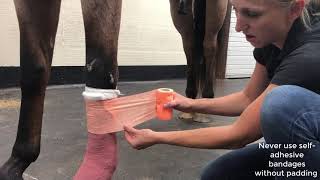 leg wrap