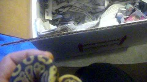 Unboxing new Ball Python 2