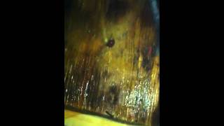 Mold removal job