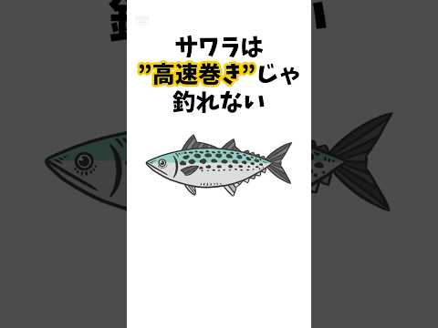 9割が知らないサワラキャスティング #釣り #ルアー #魚 #サワラキャスティング
