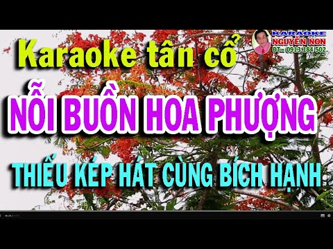 Karaoke tân cổ:   NỖI BUỒN HOA PHƯỢNG  (Thiếu kép hát cùng BÍCH HẠNH)