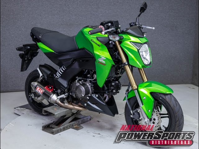 2017 KAWASAKI BR125 Z125 PRO - National Powersports Distributors