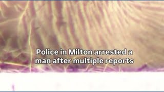 Mother goose harassed in Milton