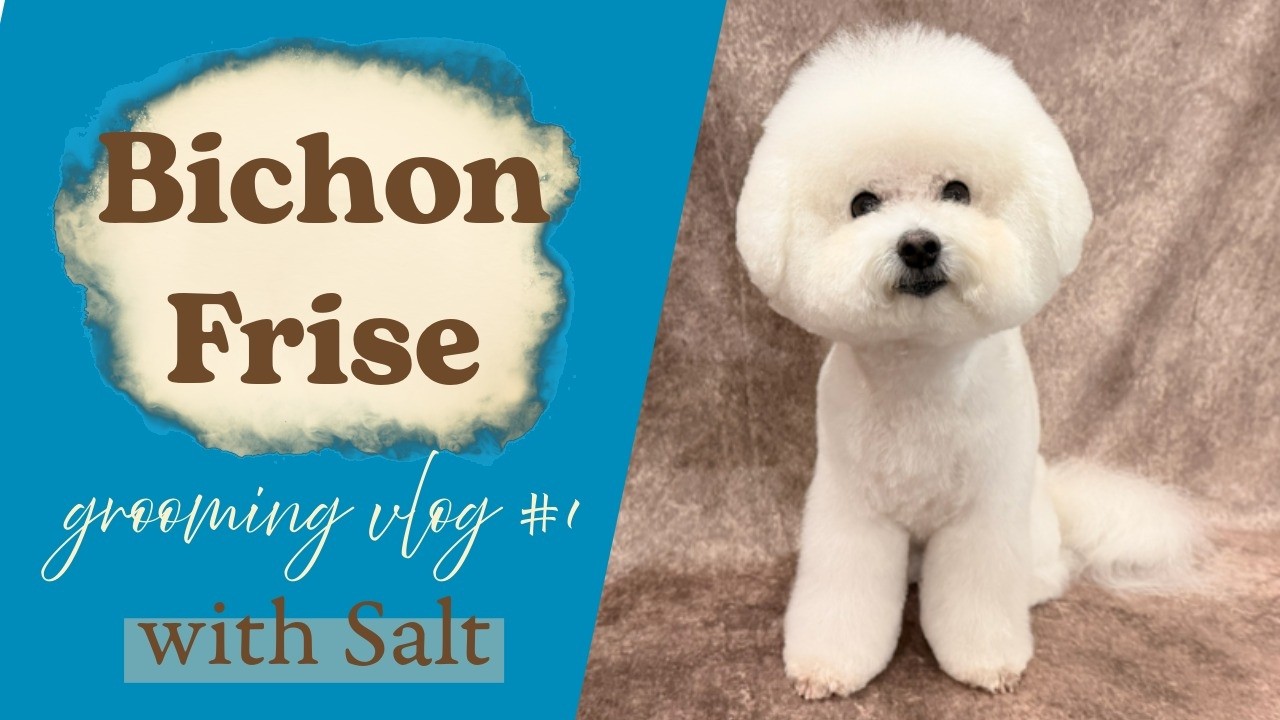 【Grooming Vlog】　Grooming Salt ~pure white cotton candy~