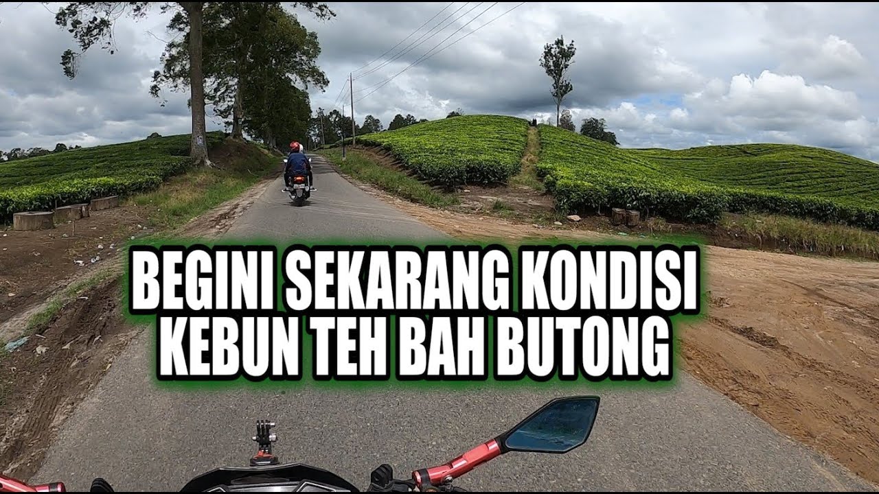 BEGINILAH KONDISI KEBUN TEH SIDAMANIK TERKINI