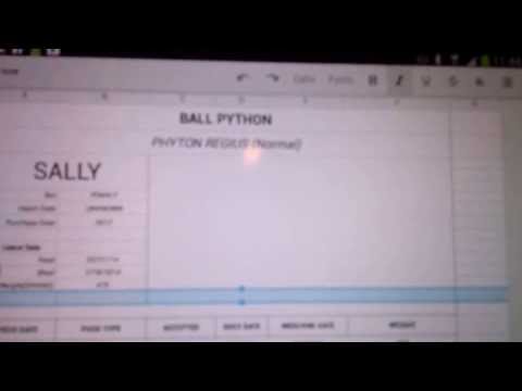 Ball Python Record Keeping