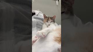 Octavia wants to love YOU! 🥰