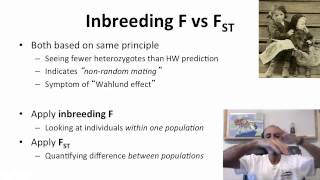 6   6   Week 6   6 S Inbreeding 1247