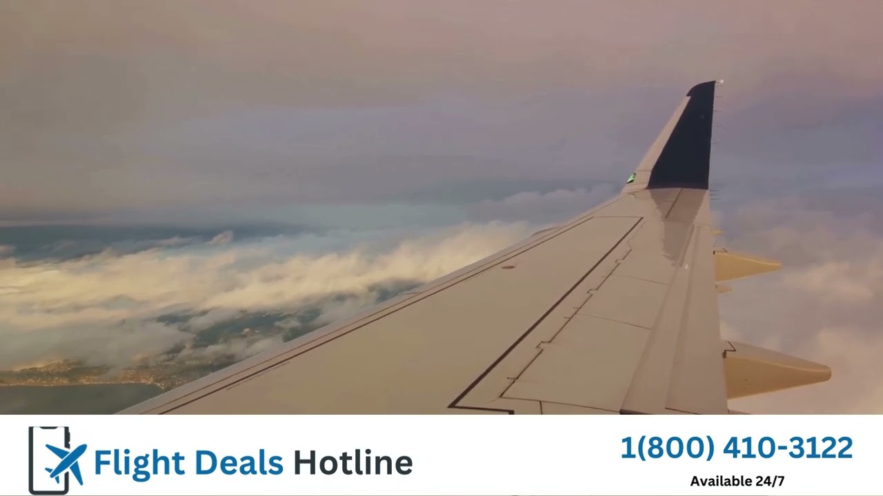 Can Flight Stay In Air Without Moving