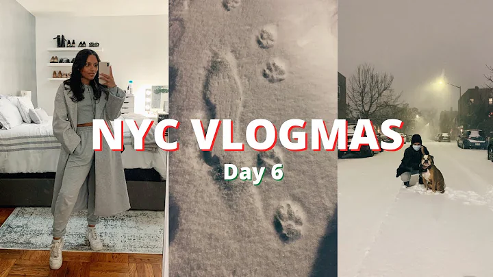 NYC VLOGMAS day 6: snow day, trader joes haul, new hair and nails!