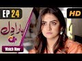 Watch Haara Dil - Episode 24 | Aplus Dramas | Danish Taimoor, Hiba Bukhari | Pakistani Drama Online In HD