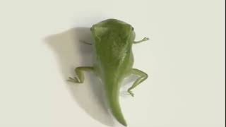 Top 10 Amazing Funny Science Videos 2020 Part 5